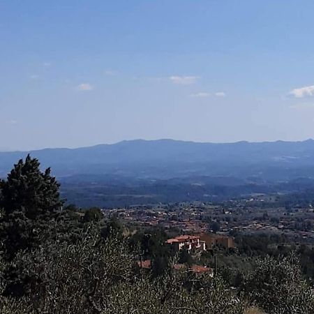 Agrifarm La Corte Vendégház Villa Bensi Kültér fotó